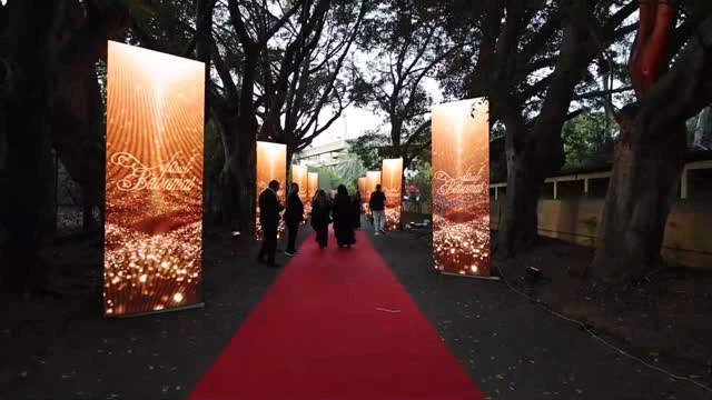 A red carpet leads between illuminated CAEL displays toward the evening event in 2025.